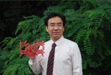 马博在线登录创新论坛第一千二百七十三讲暨120周年校庆年系列活动： Unexpected slow diffusion in hierarchical porous materials with combined surface and configurational diffusion   