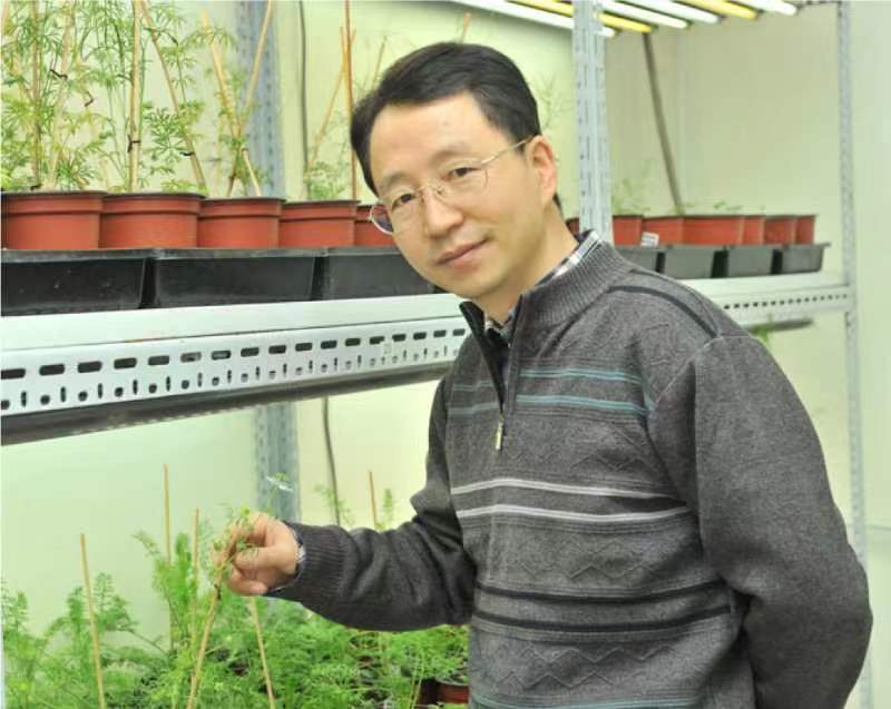 马博在线登录创新论坛第一千二百六十八讲暨120周年校庆年系列活动：复杂花瓣的发育与进化